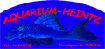 Benutzerbild von AQUARIUM-HEINTZ