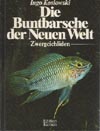 bubaneueweltzwergc100.jpg