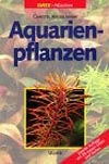 Aquarienpflanzen.jpg