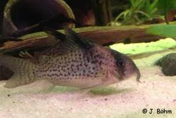 CW076_IMG_0191.jpg