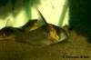 CW045_3833.jpg