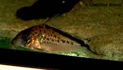 CW074_3748.jpg