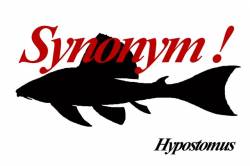 Hypostomus_lexi_Synonym_640.jpg