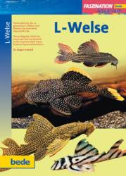 LWelse.jpg