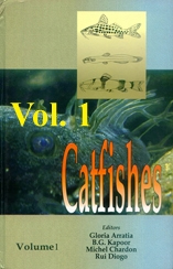 catfishes1.jpg