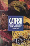 catfishes1001.jpg