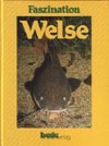 faszinationwelse100.jpg