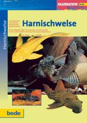 harnischwelse.jpg