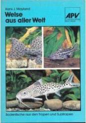 welseausallerwelt.jpg